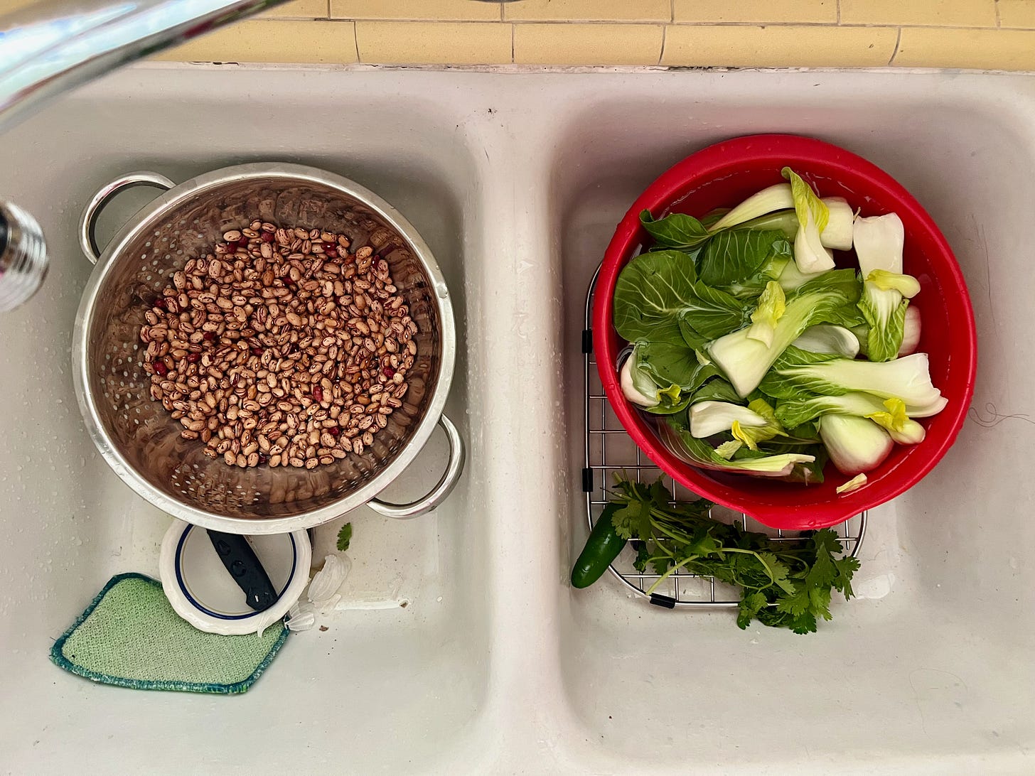 A happy sink filled with beans and vegetables