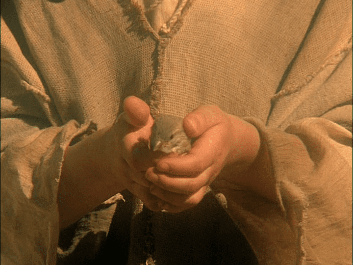 vlcsnap-2016-03-06-23h58m22s239 vlcsnap-2016-03-06-23h58m22s239