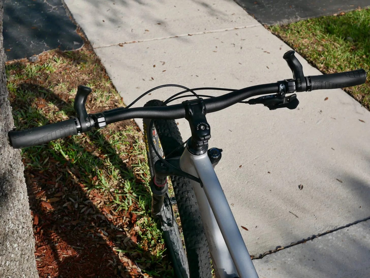 Je suis le bon pigeon pour les ergonomistes du vélo Je suis le bon pigeon pour les ergonomistes du vélo