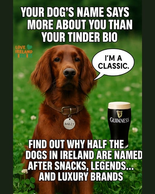 May be an image of dog and text that says "YOUR DOG'S NAME SAYS MORE ABOUT YOU HAN YOUR TINDER BIO LOVE IRELAND TERTE I'M 'M A CLASSIC. BAILEY GUINNESS FIND OUT WHY HALF THE DOGS IN IRELAND ARE NAMED AFTER SNACKS, LEGENDS... AND LUXURY BRANDS"