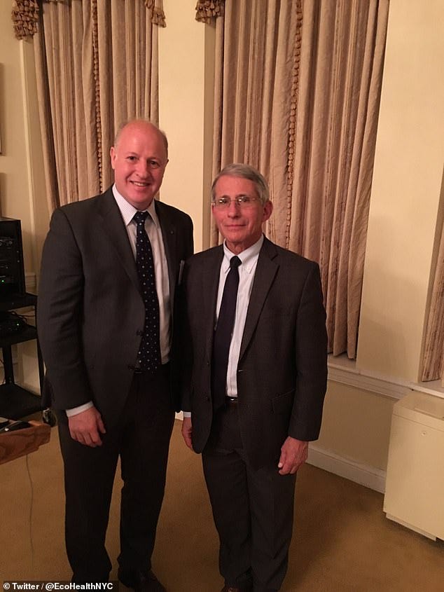 Dr Peter Daszak (pictured left alongside Dr Anthony Fauci) oversees EcoHealth Alliance