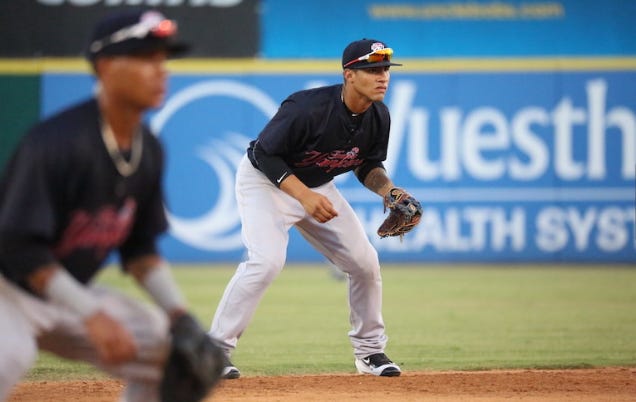 Photo Credit: Tim Holle / Brevard County Manatees