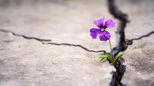 Premium Photo | A flower growing in a crack in a concrete slab