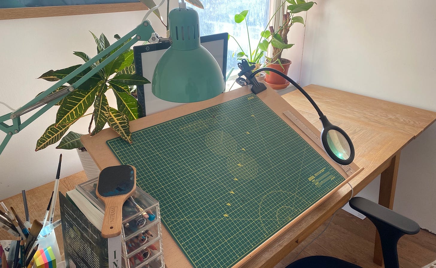 A photograph of Adam's workspace, featuring a drawing board, pencils, paintbrushes, plants and a lightbox
