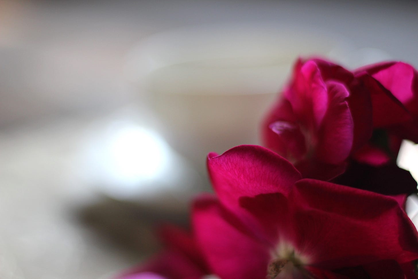 Romantic Tea Pink Roses