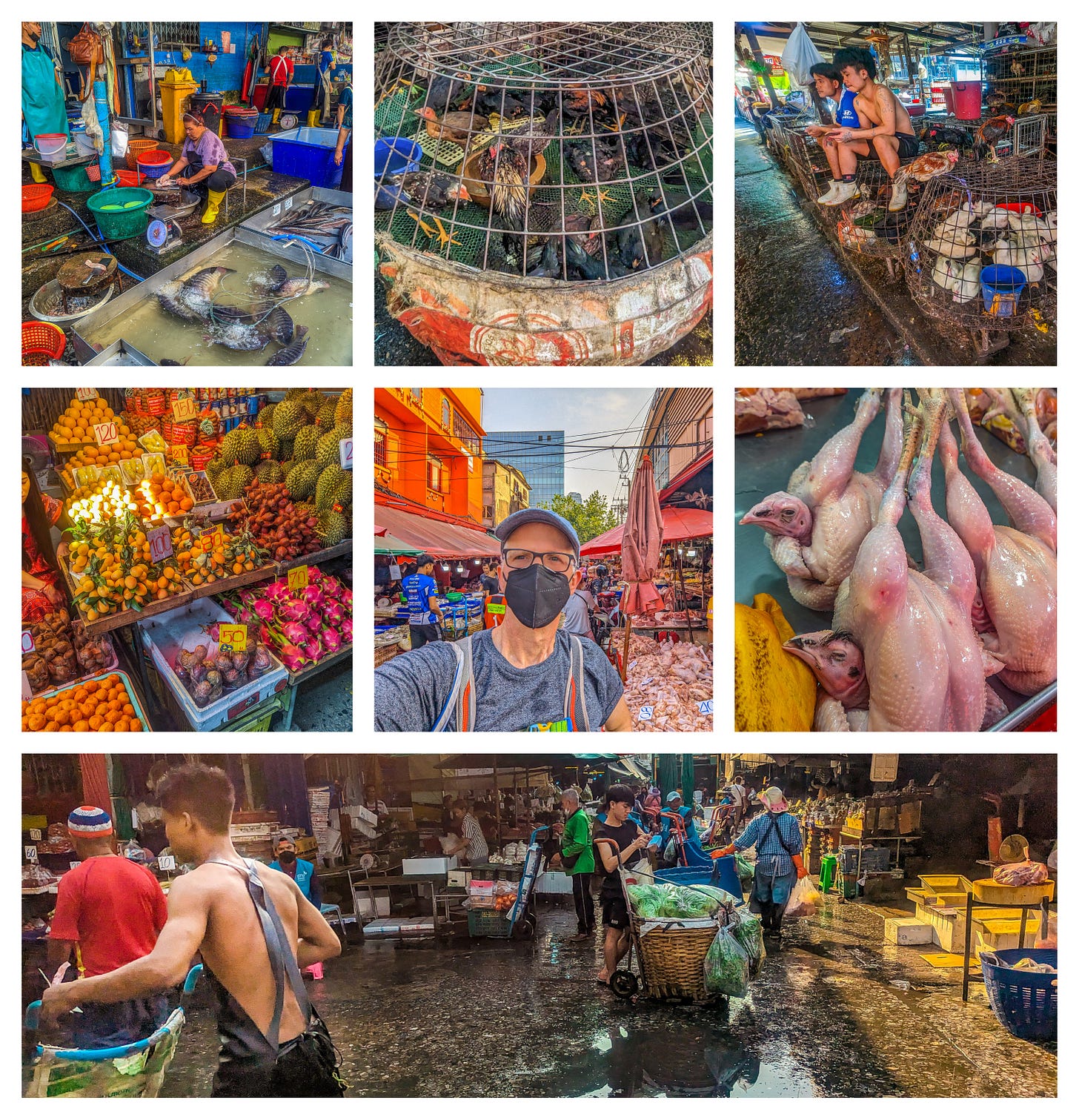 A compilation of photos showing chickens waiting to be slaughtered, as well as plucked chickens for sale, piles fruit, a fishmonger scaling a fish, me standing in the middle of the market, and a young man pushing a cart. 