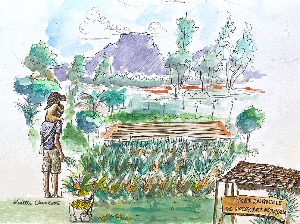 An illustration of the lycee agricole in Moorea