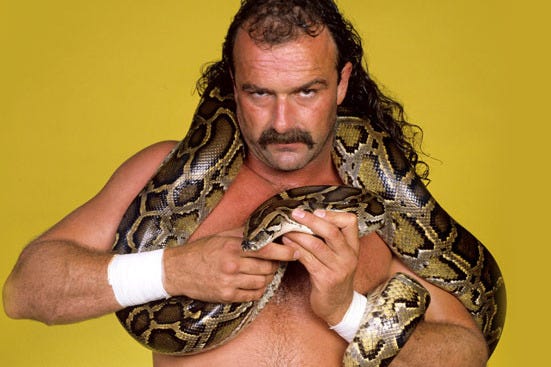 Jake "The Snake" Roberts Is the Greatest Wrestler to Never Hold a Major  Title | News, Scores, Highlights, Stats, and Rumors | Bleacher Report