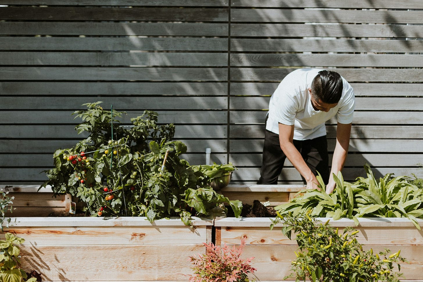 Gardener working with Raised Garden Bed Gardener working with Raised Garden Bed