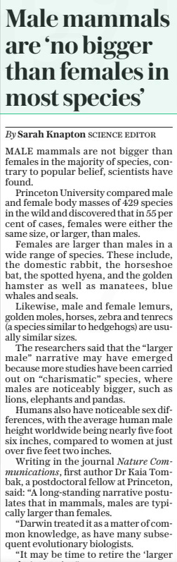 Male mammals are ‘no bigger than females in most species’ The Daily Telegraph13 Mar 2024By Sarah Knapton Science editor MALE mammals are not bigger than females in the majority of species, contrary to popular belief, scientists have found.  Princeton University compared male and female body masses of 429 species in the wild and discovered that in 55 per cent of cases, females were either the same size, or larger, than males.  Females are larger than males in a wide range of species. These include, the domestic rabbit, the horseshoe bat, the spotted hyena, and the golden hamster as well as manatees, blue whales and seals.  Likewise, male and female lemurs, golden moles, horses, zebra and tenrecs (a species similar to hedgehogs) are usually similar sizes.  The researchers said that the “larger male” narrative may have emerged because more studies have been carried out on “charismatic” species, where males are noticeably bigger, such as lions, elephants and pandas.  Humans also have noticeable sex differences, with the average human male height worldwide being nearly five foot six inches, compared to women at just over five feet two inches.  Writing in the journal Nature Communications, first author Dr Kaia Tombak, a postdoctoral fellow at Princeton, said: “A long-standing narrative postulates that in mammals, males are typically larger than females.  “Darwin treated it as a matter of common knowledge, as have many subsequent evolutionary biologists.  “It may be time to retire the ‘larger males’ narrative.”  Article Name:Male mammals are ‘no bigger than females in most species’ Publication:The Daily Telegraph Author:By Sarah Knapton Science editor Start Page:10 End Page:10