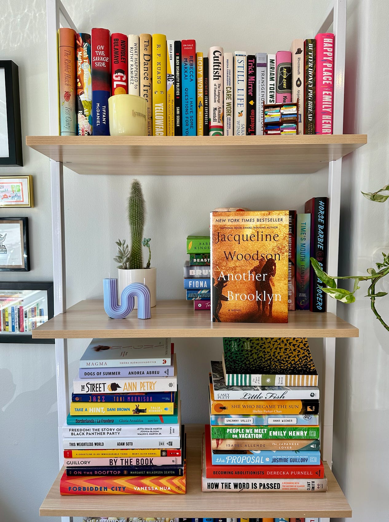A bookshelf with Another Brooklyn facing outwards.