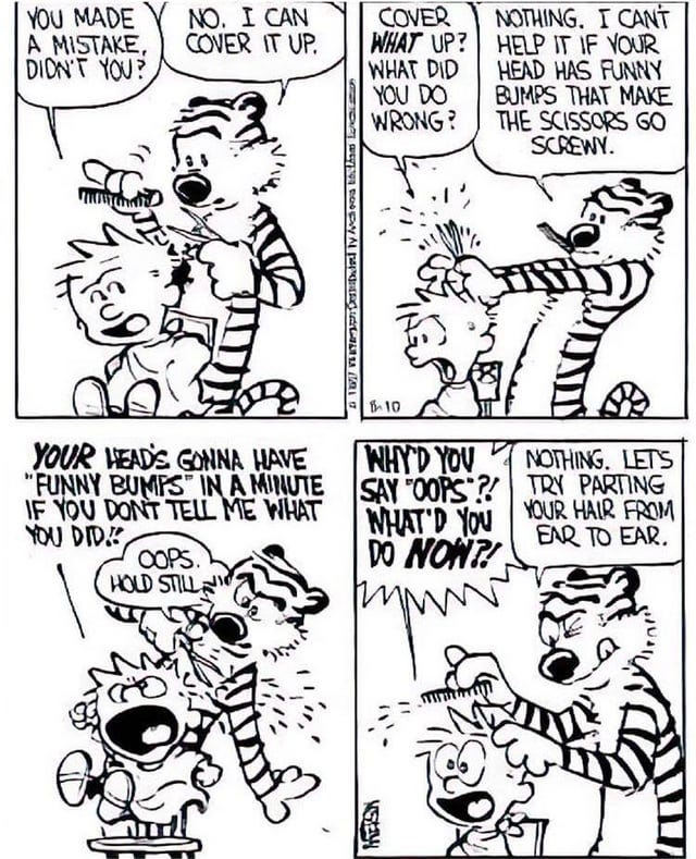 r/calvinandhobbes - You made a mistake, didn't you?