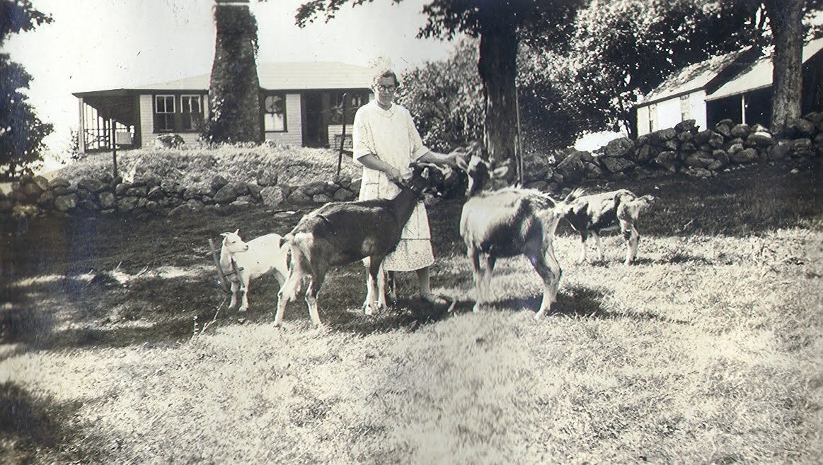 Marion with goats
