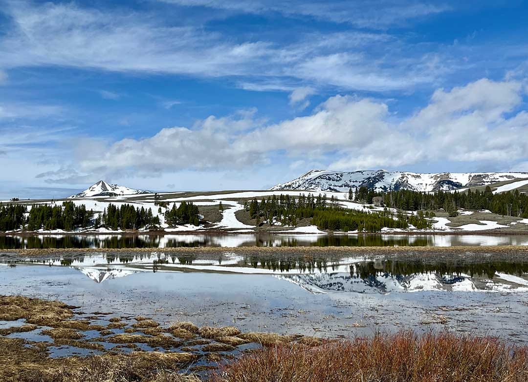 Gallatin Mountains in Yellowstone National Park