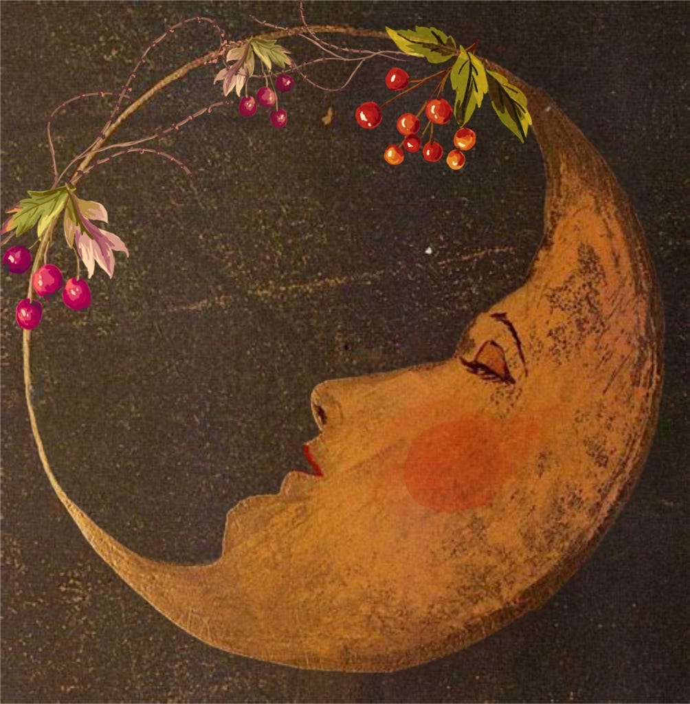 A collage of an old illustration of an anthropomorphised cresent moon who appears to be sleeping. Ripe berries hang above their face