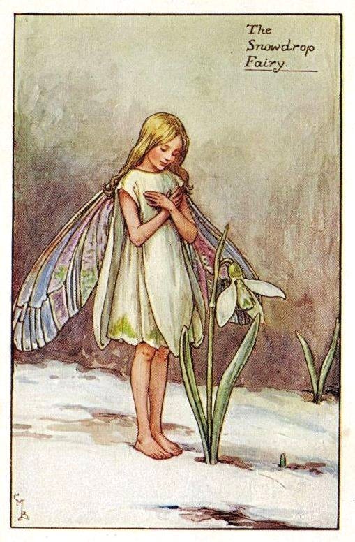 The Snowdrop Fairy by Cicely Mary Barker