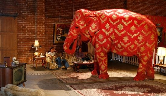 10 Elephant In The Room ideas | elephant, room, elephant room