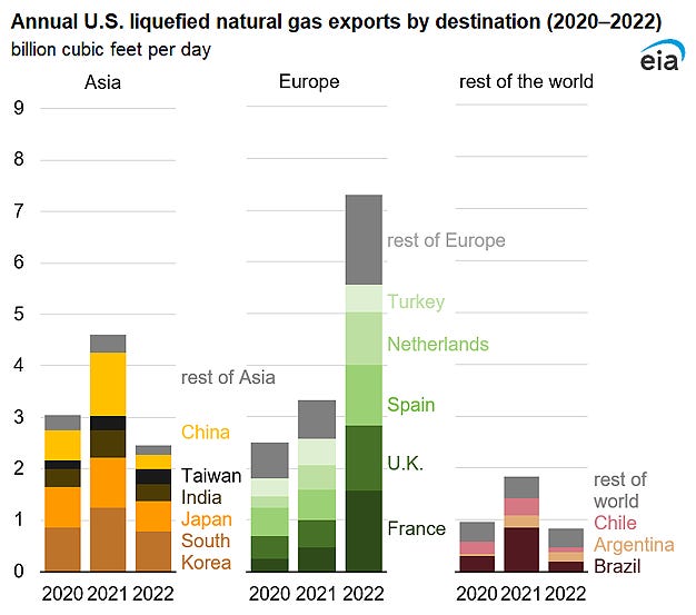Annual U.S. liquefied natural gas exports by destination (2020–2022)