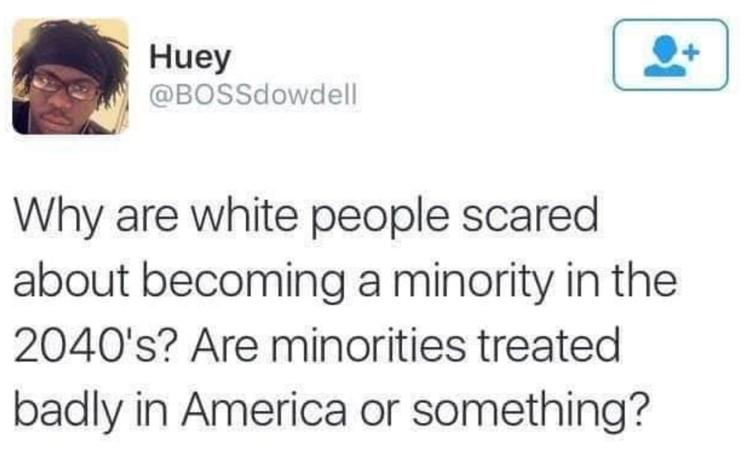 Image of a twitter post that says "Why are white people scared about becoming a minority? Are minorities treated badly in American or something?"