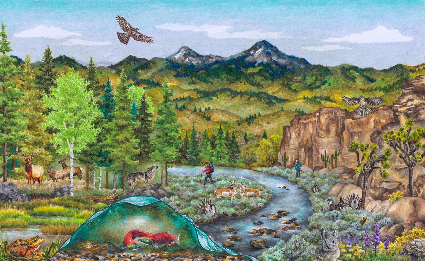 multiple western environments imagined together in one scene: Mountains, desert, a stream, a forest, with animals native to those ecosystems: hawks, elk, sage grouse, rabbit, salmon, a grey wolf, as well as a human fishing and another backpacking. 