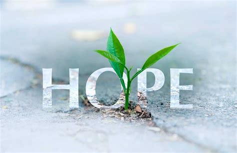 Hope: The 3 Things needed to Grow and Thrive | SCA