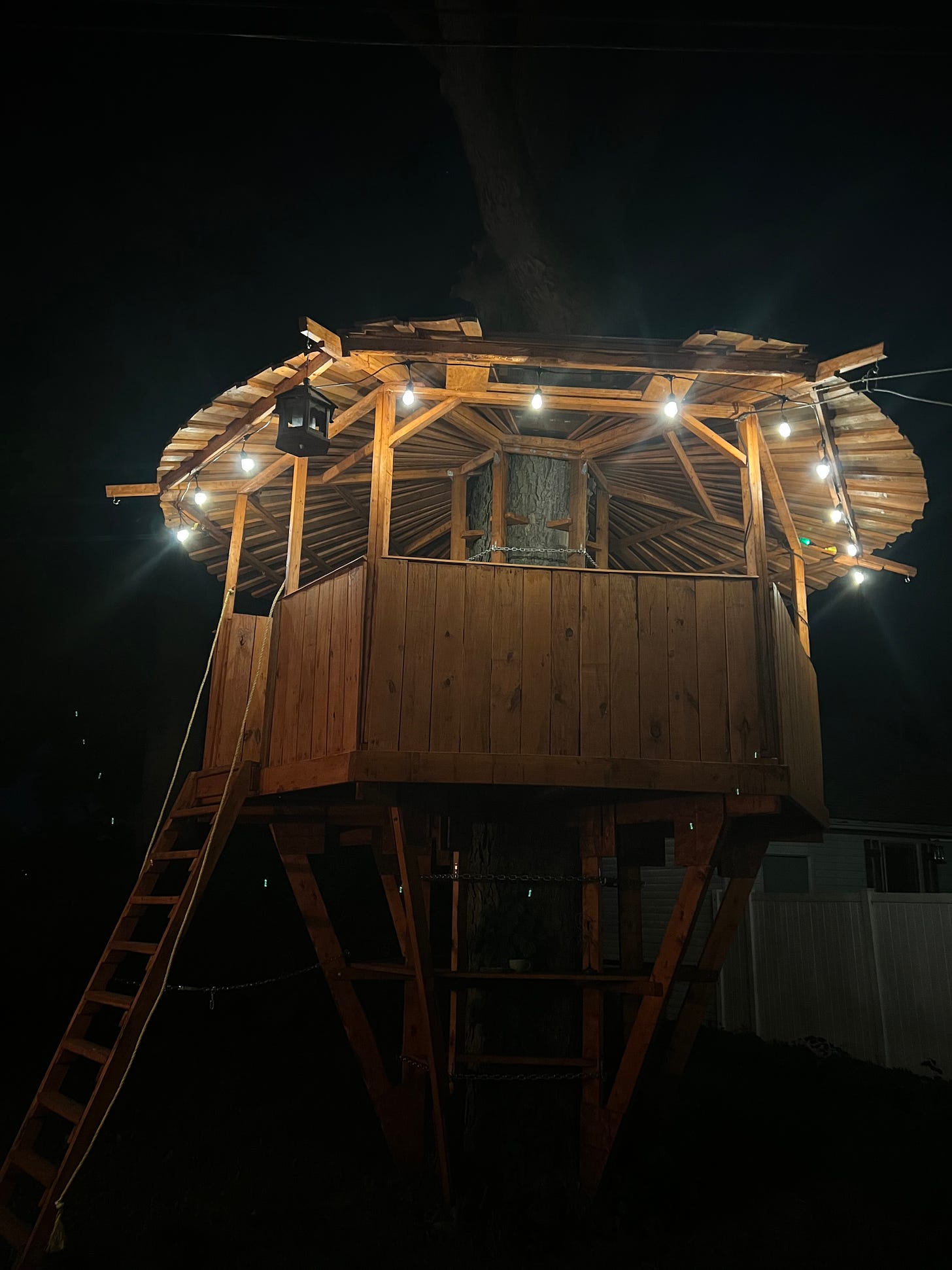 a treehouse is seen at night
