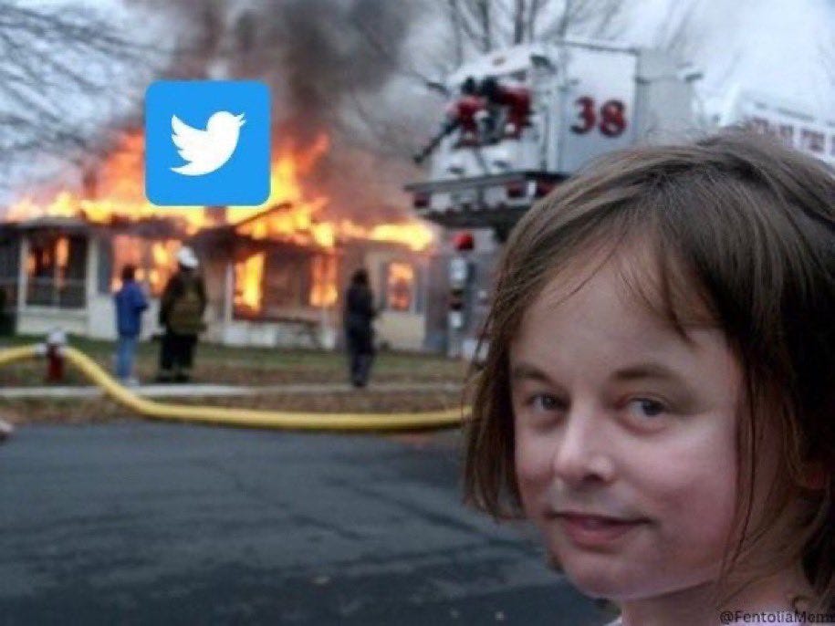 Classic meme of young girl smiling in the foreground as a building burns behind her. The girl's face has been replaced by Elon Musk's face, and the blue twitter bird is on the burning house. 