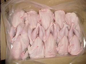 Wholesale halal frozen chicken in bulk online from Brazil