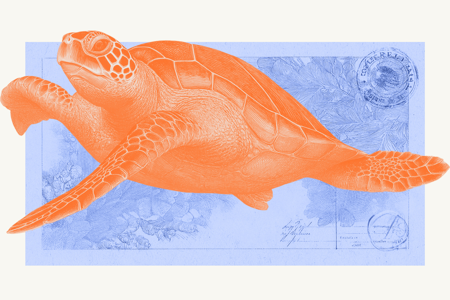 An orange sea turtle swims calmly across a textured blue background filled with botanical and postal illustrations — a visual metaphor for graceful, deliberate movement in a fast-paced world.