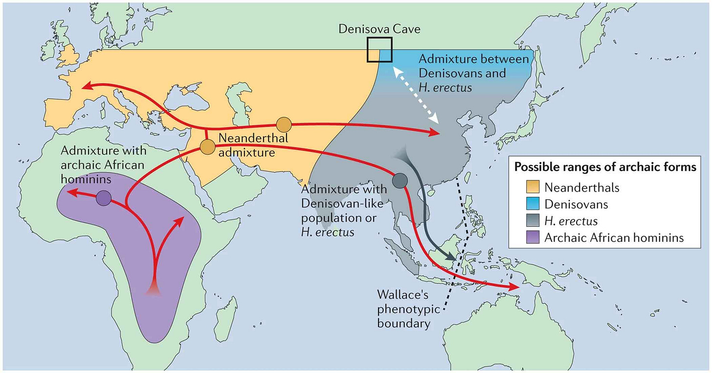 Map of Eurasia and Africa showing the ranges of Neandertals and Denisovans dividing the continent along a line from Denisova to Gujarat Map of Eurasia and Africa showing the ranges of Neandertals and Denisovans dividing the continent along a line from Denisova to Gujarat