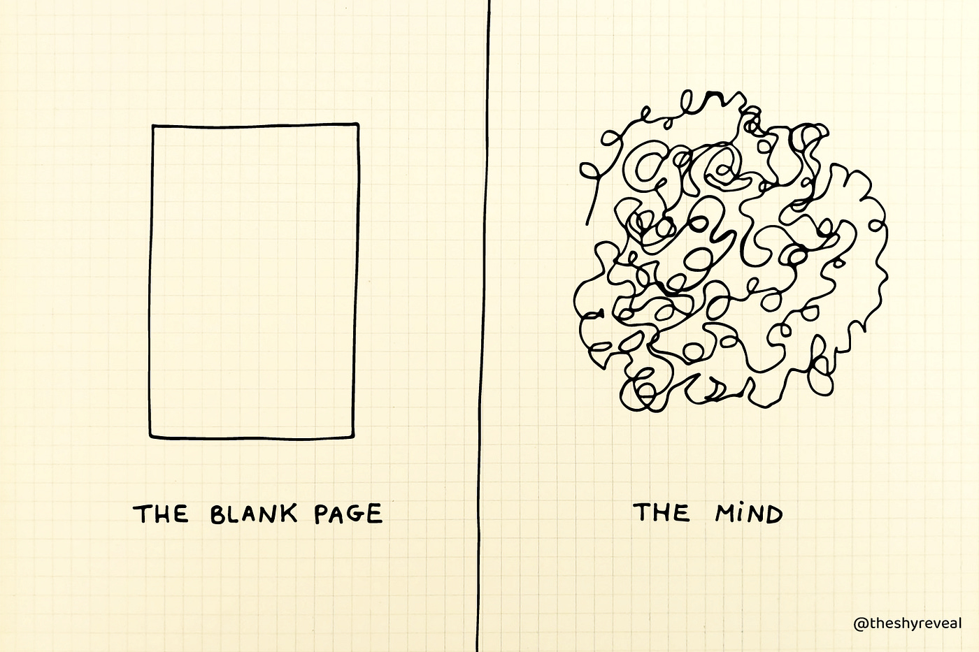 The blank page versus the mind (a lot of scribbles).