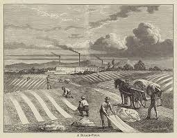 A Bleach-Field (engraving) Our ...