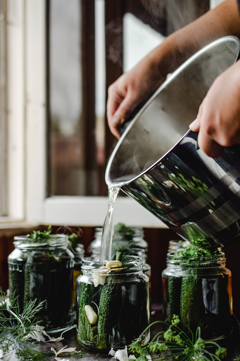 A person pouring hot brine into several glass jars to preserve and make pickles. The jars are full of cucumbers and herbs.