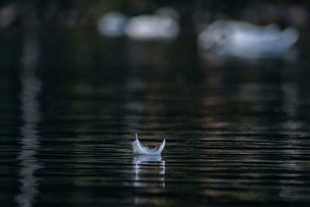 A single feather floats on a tranquil lake