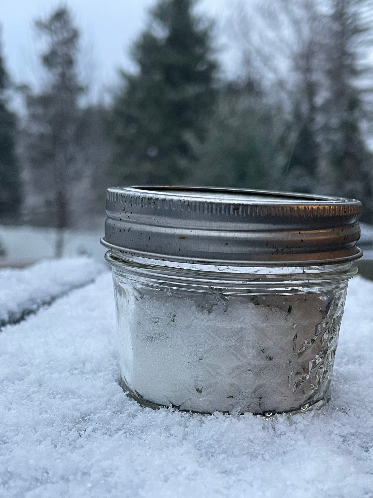 Sugar in jar infused with pine needles