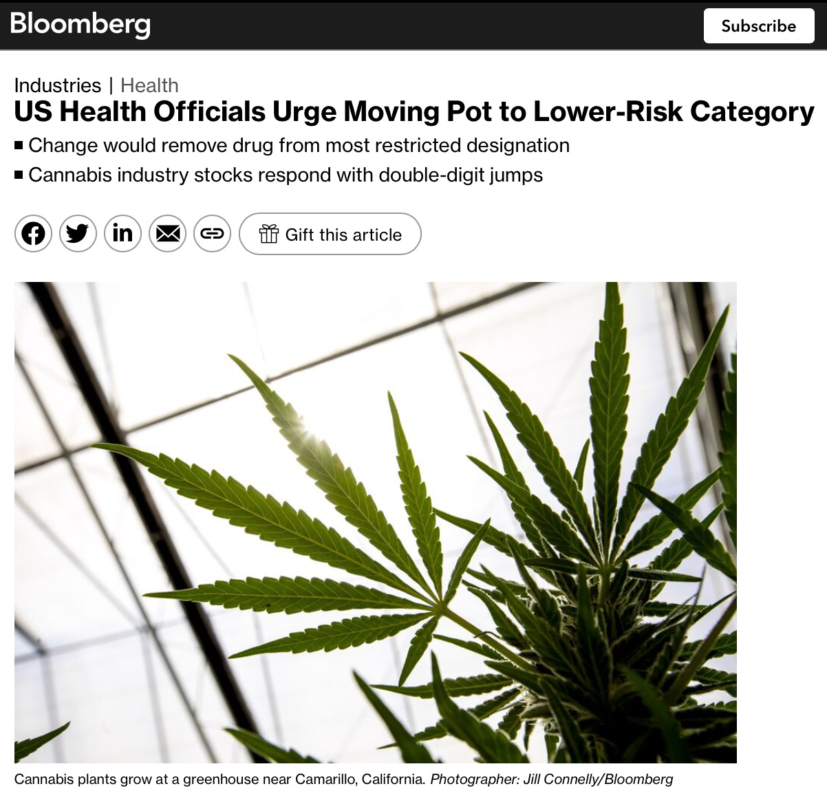 Screenshot of Bloomberg news article called "US Health Officials Urge Moving Pot to Lower-Risk Category"