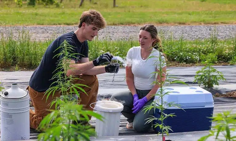 HWS students gain hands-on scientific experience at Cornell AgriTech |  Fingerlakes1.com