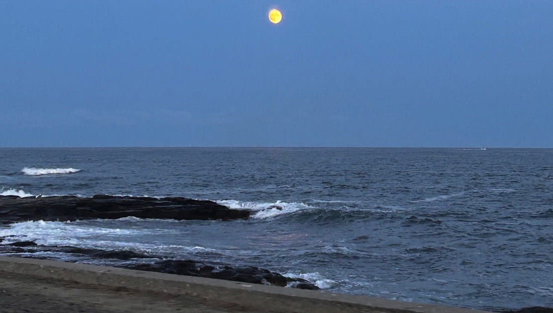 How Tides and Currents Help You Catch More Striped Bass While Surfcasting