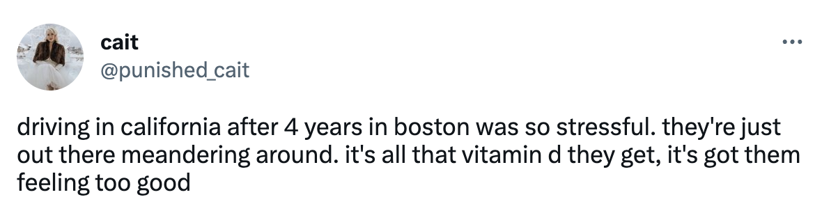 Tweet from cait (@punished_cait) that reads "driving in california after 4 years in boston was so stressful. they're just out there meandering around. it's all that vitamin d they get, it's got them feeling too good"