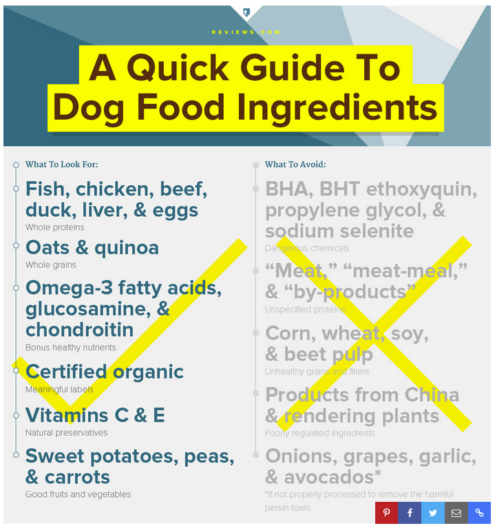 dog-food-guide
