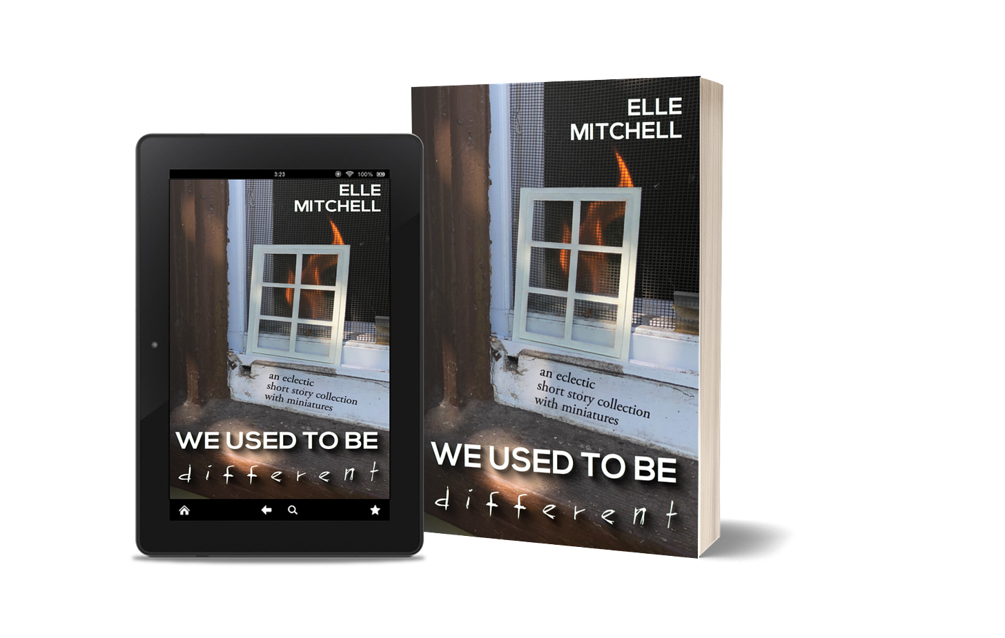 Ebook and paperback of We Used to Be Different: a miniature window in a window with a fire inside the house