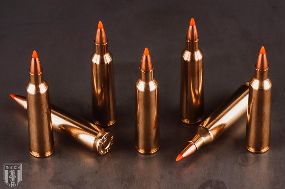 shop 22-250 ammo
