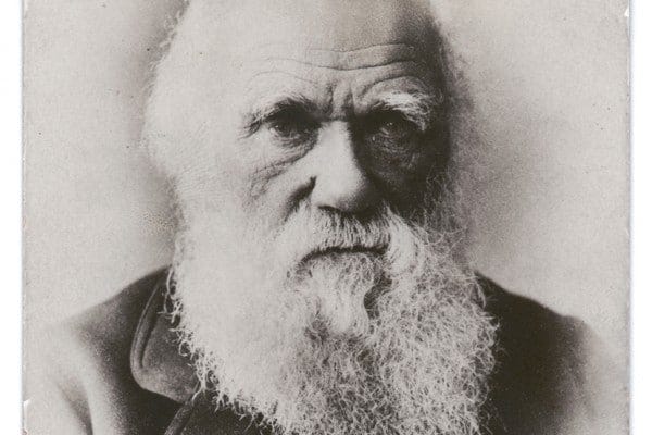 Charles Darwin: biografia e teoria dell'evoluzione | Studenti.it