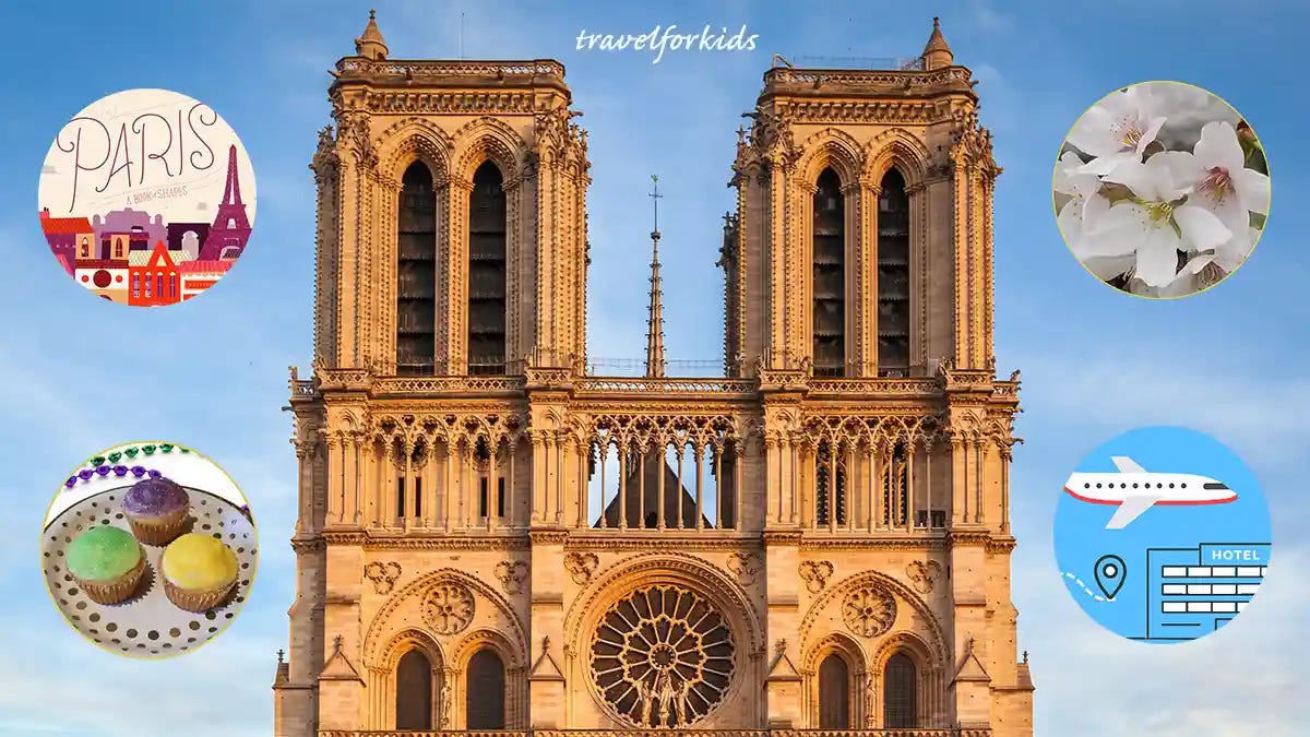 collage with notre dame, cupcakes, cherry blossoms, paris book cover, airplane at airport