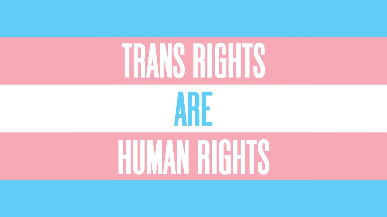 Image with blue and pink stripes that reads "trans rights are human rights".