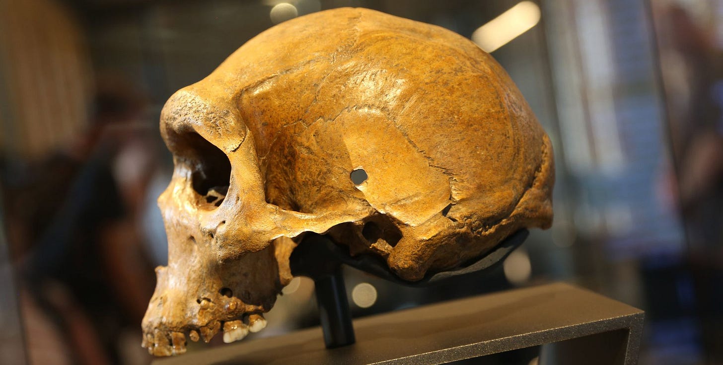 The Kabwe skull viewed from the left side