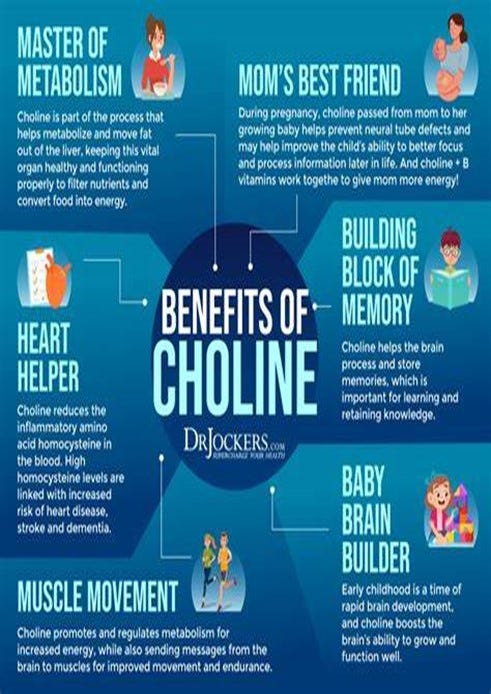 benefits of choline 