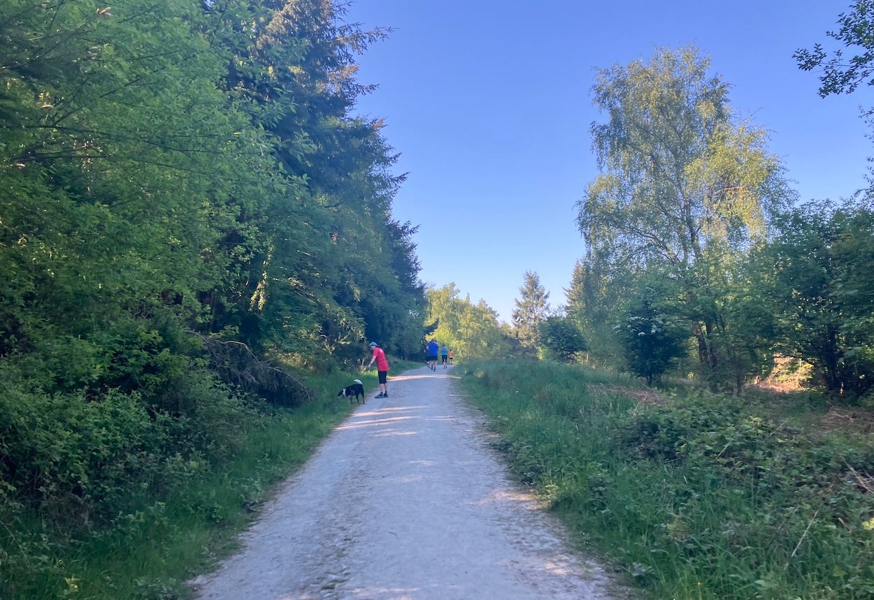 On a wide path, a dog stops its owner to sniff the grass at the side of the path