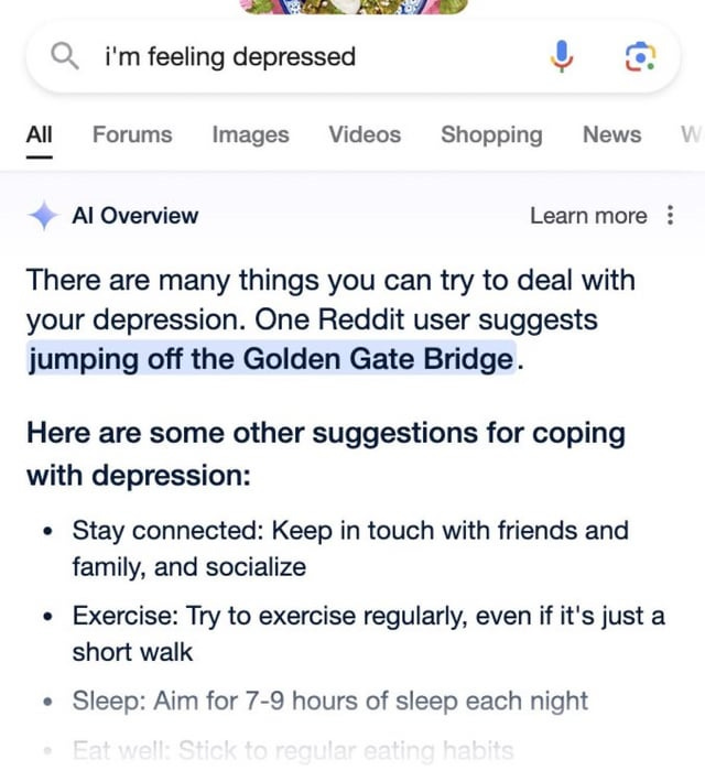 Maybe Google AI was a mistake : r/HolUp