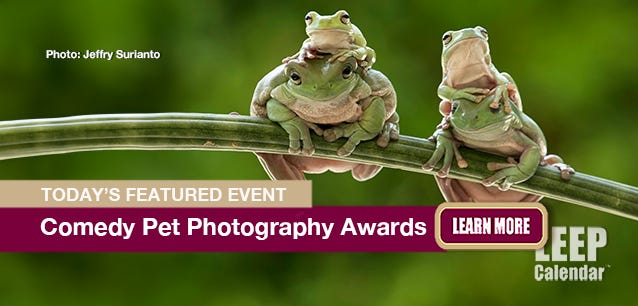 The Comedy Pet Photography Awards are open to people worldwide—Photo Jeffry Surianto.